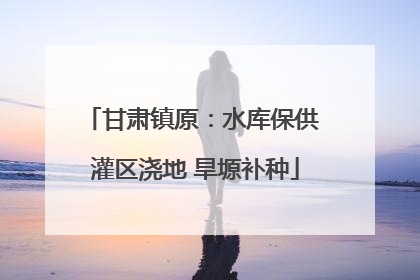 甘肃镇原：水库保供 灌区浇地 旱塬补种